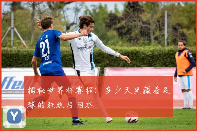 揭秘世界杯赛程：多少天里藏着足球的狂欢与泪水