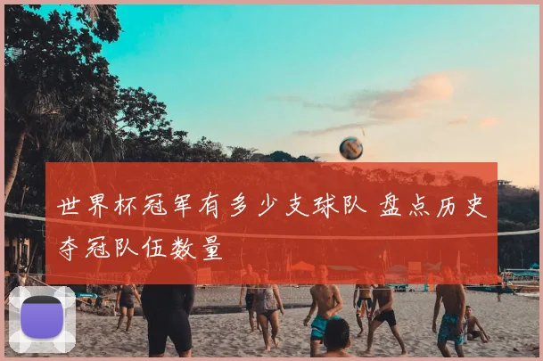 世界杯冠军有多少支球队 盘点历史夺冠队伍数量