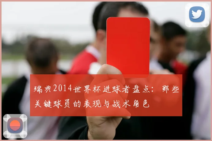 瑞典2014世界杯进球者盘点:那些关键球员的表现与战术角色