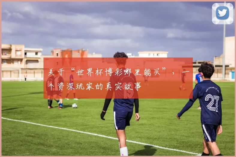 关于“世界杯博彩哪里能买”,一个资深玩家的真实故事