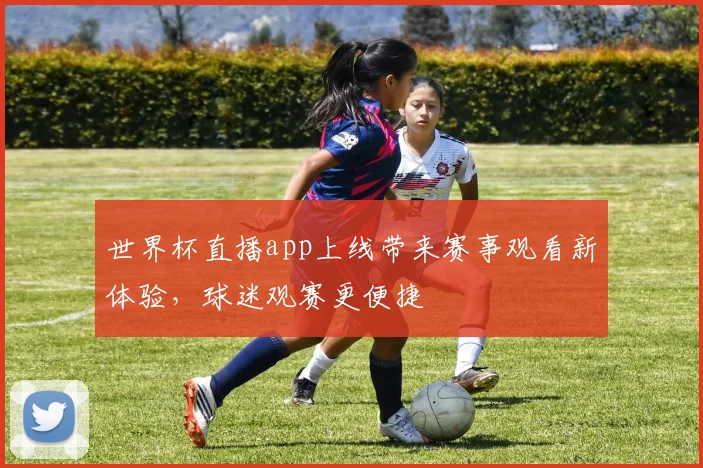 世界杯直播app上线带来赛事观看新体验,球迷观赛更便捷