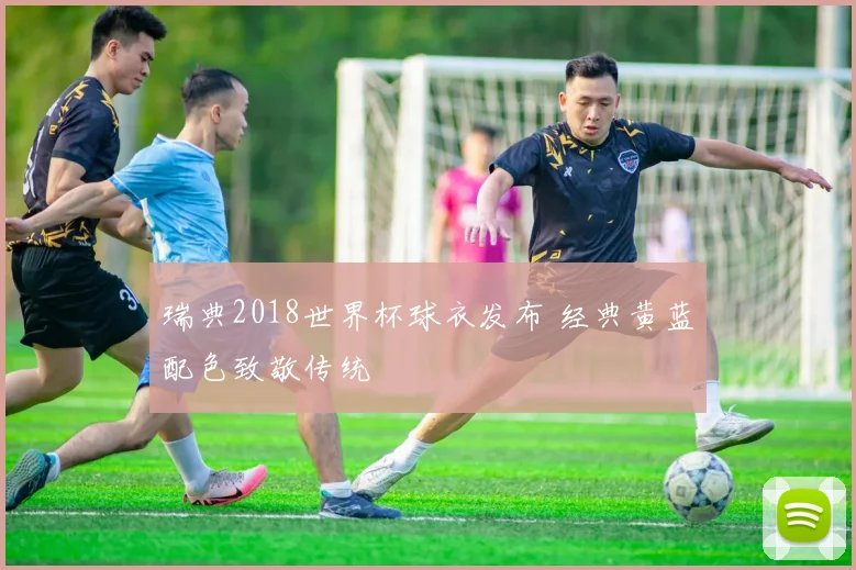 瑞典2018世界杯球衣发布 经典黄蓝配色致敬传统