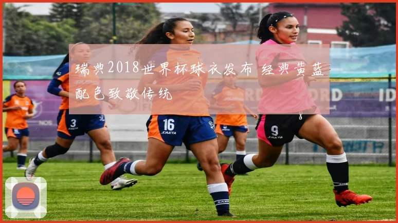 瑞典2018世界杯球衣发布 经典黄蓝配色致敬传统